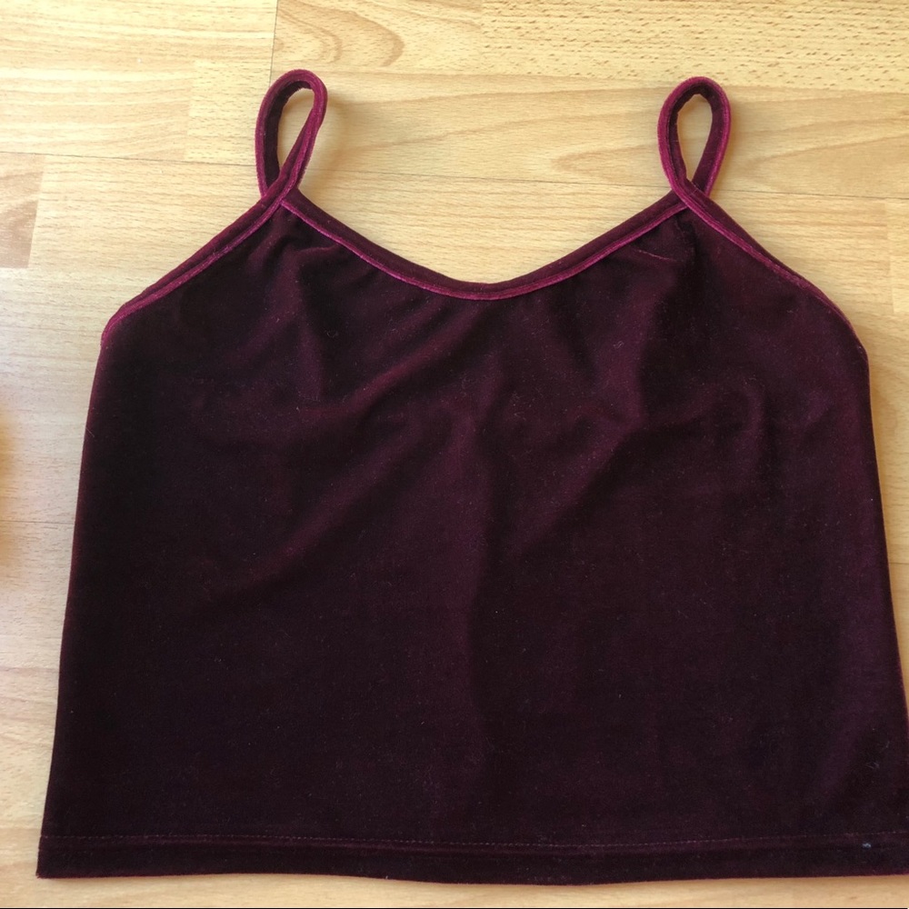Maroon purple velvet Crop Top, by The Hanger